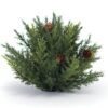 Follaje de Cipres y mini bellotas  Half Orb 6.5"D