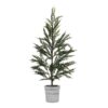 Árbol de Pino en Maceta  31"Á