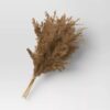 Pampas Grass Bundle Coffe, grande