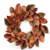 CORONA Otoño Hojas de MAGNOLIA 24 pulg